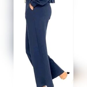 New w Tag size L Johnny Was Calme Elements Track Pants Blue